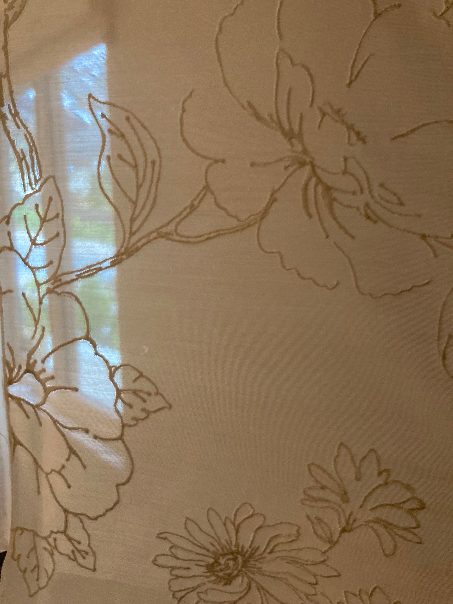 Sheer fabric with embroidered floral motifs. Sheer fabrics allow for light to filter through.