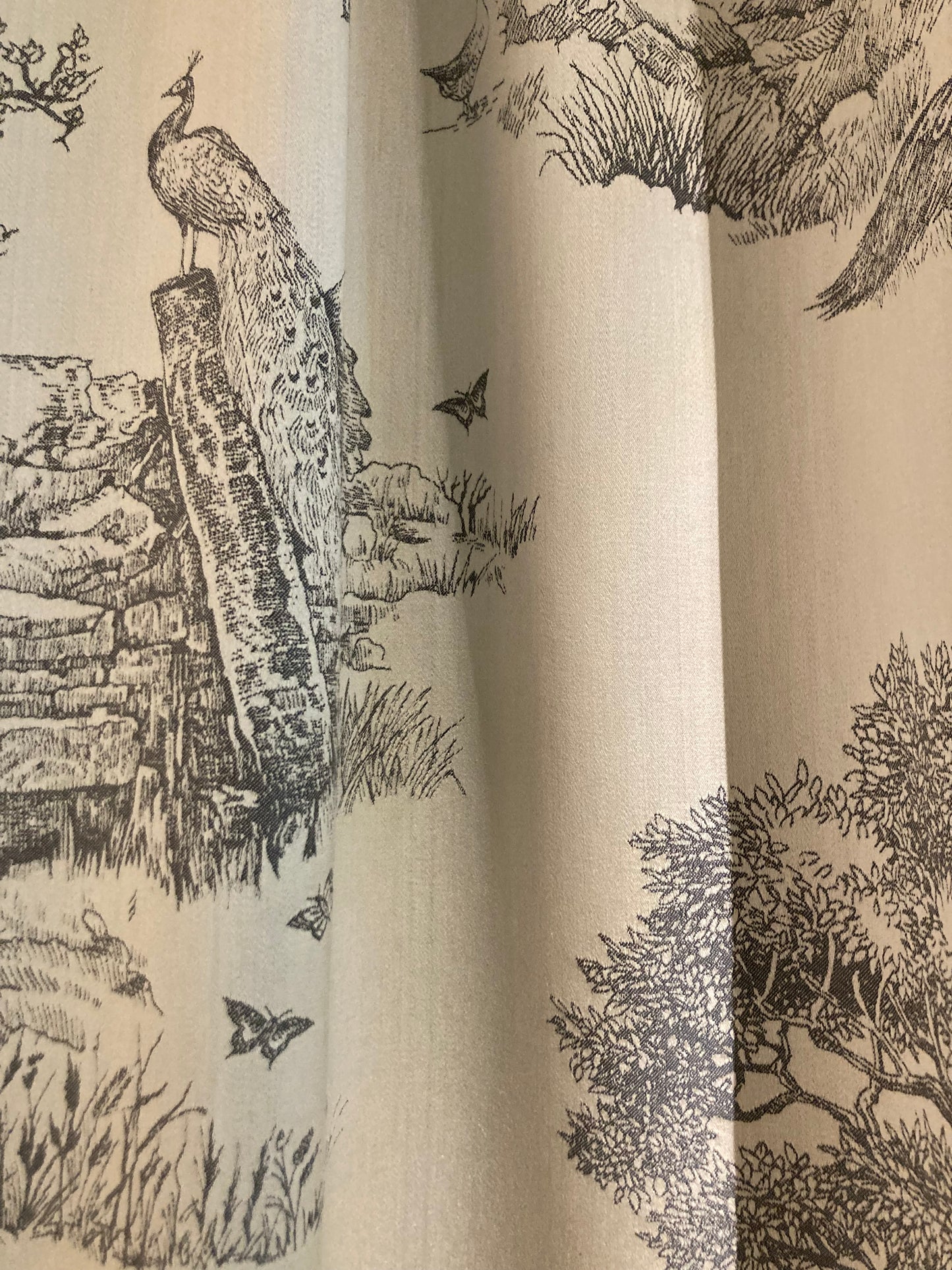 Curtain - Sacred Bird